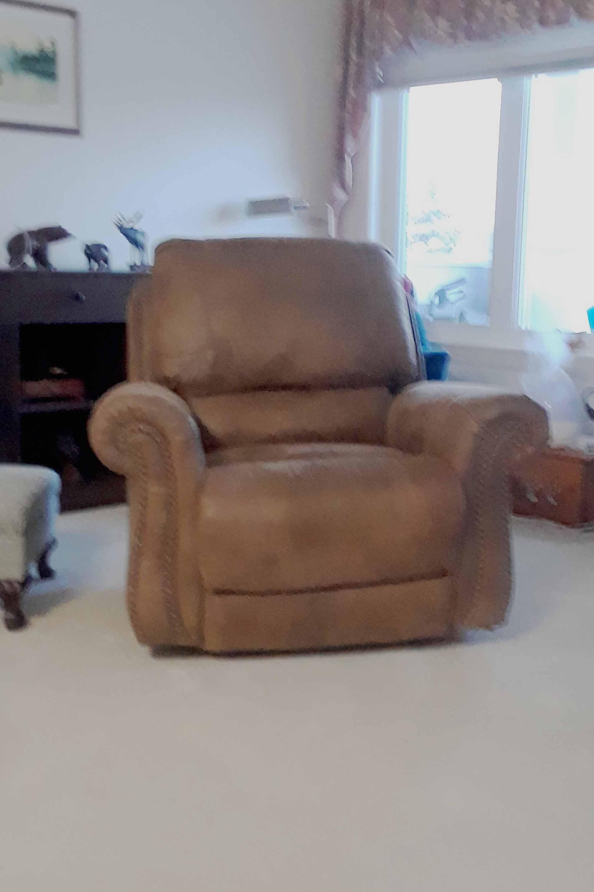 Photo of Rocker/Recliner