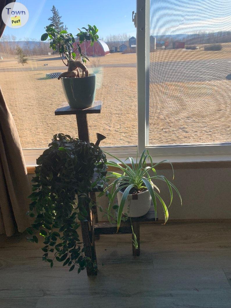 Photo of 3 Tier plant stand