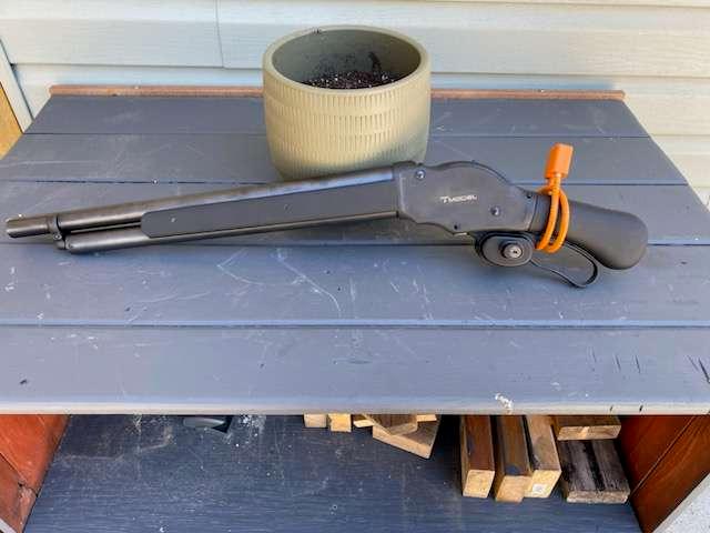 Photo of 12g lever action